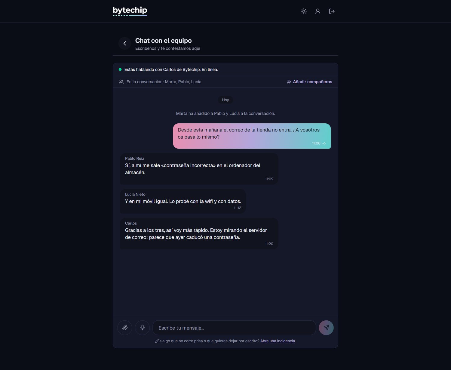 Chat de grupo con el equipo